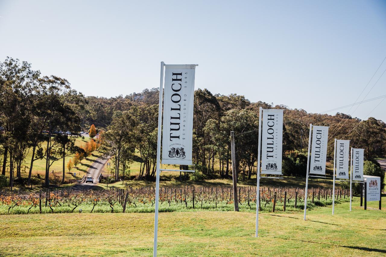 Tulloch Wines - Vertical Tasting Of Pokolbin Dry Red Shiraz Over 6 Vintages With Charcuterie Board