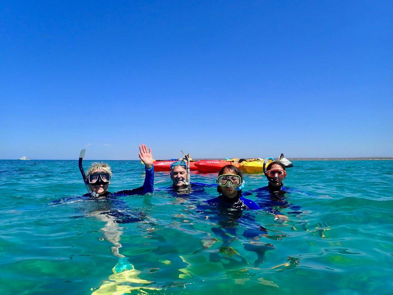 Turtle Tour - Half Day Sea Kayak & Snorkel Tour