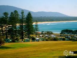 Dolphin Spotting River Cruise