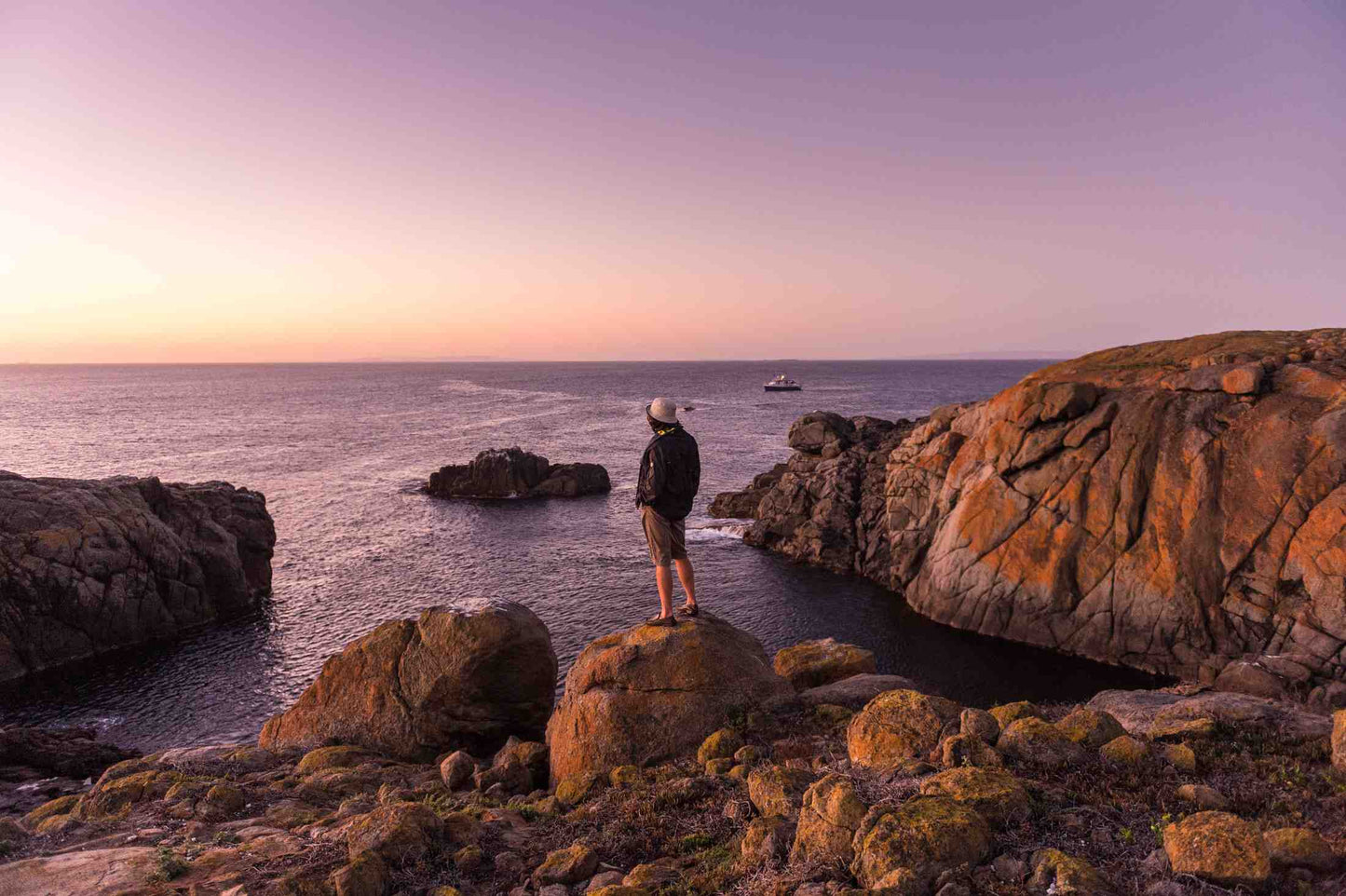 Great White Shark Expedition - 5 Nights