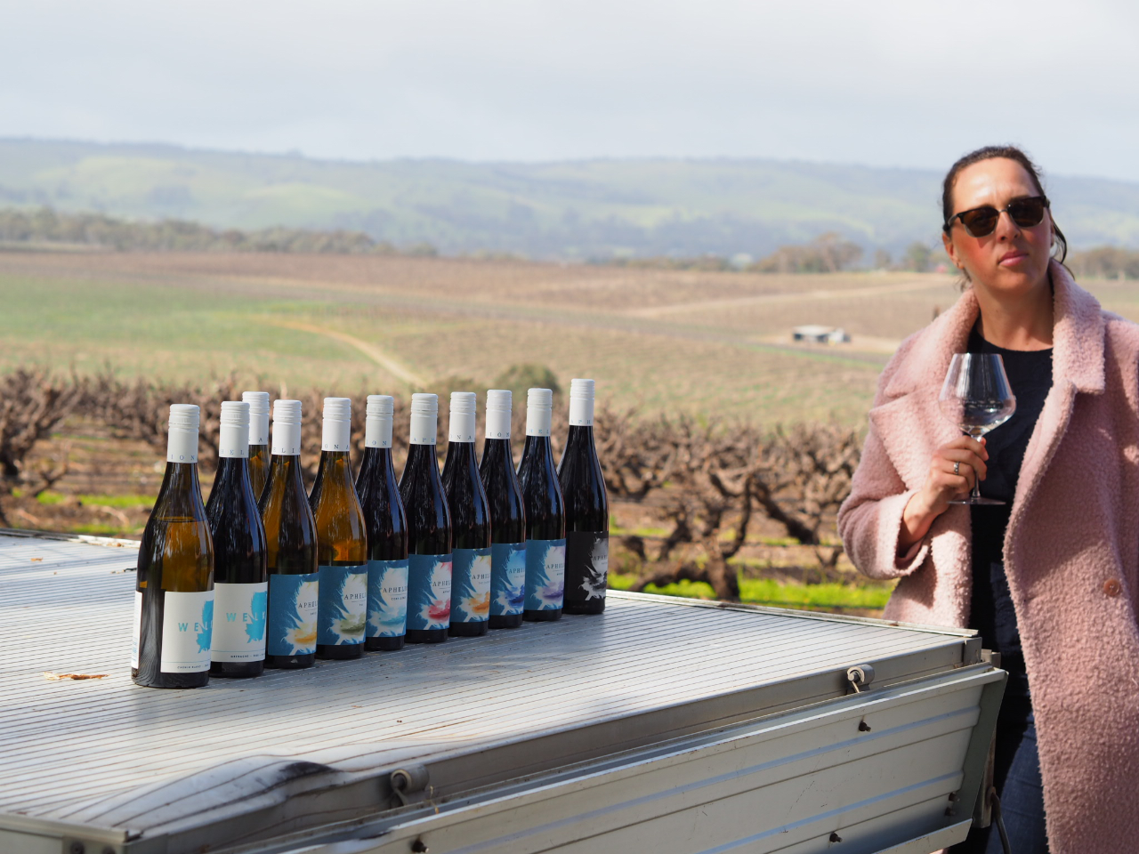 Back Of The Ute' Vineyard Wine Tasting At Aphelion Wine Co.