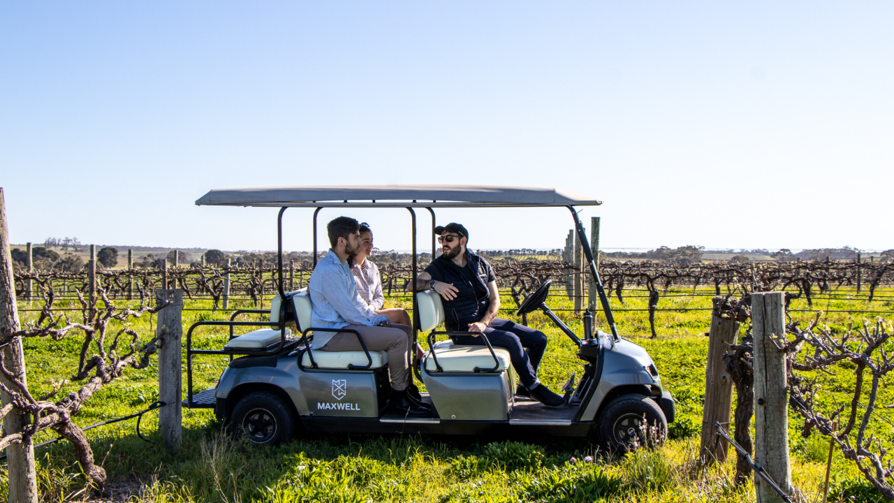 Vineyard Sustainability Tour & Tasting Experience At Maxwell Wines