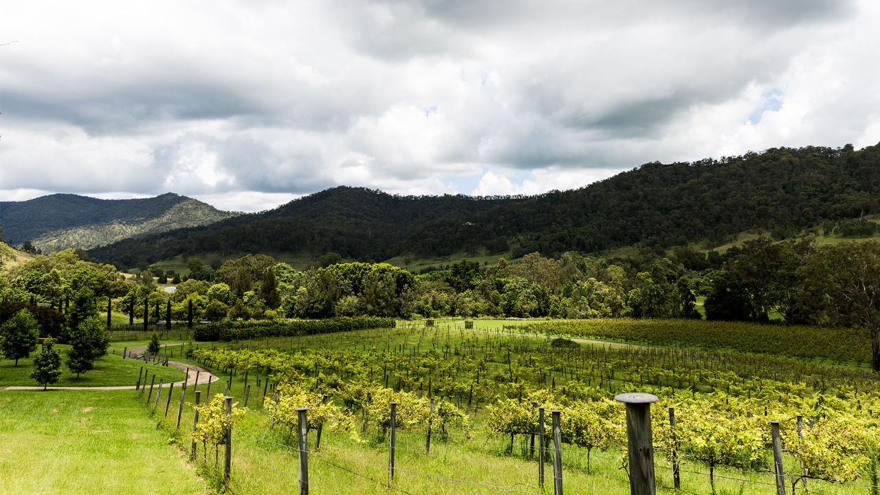 Scenic Rim Luxury Payg Tasting Experience - Gold Coast Pickup
