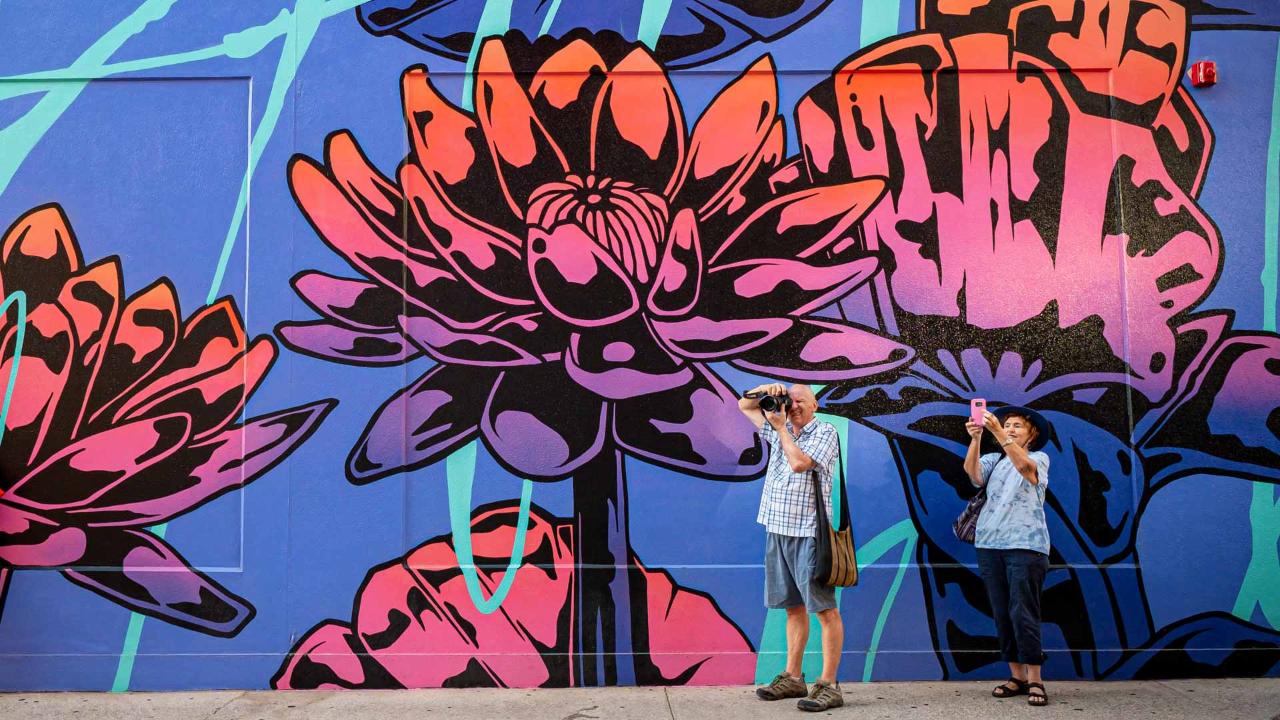 Hidden Secrets Of Darwin Walk