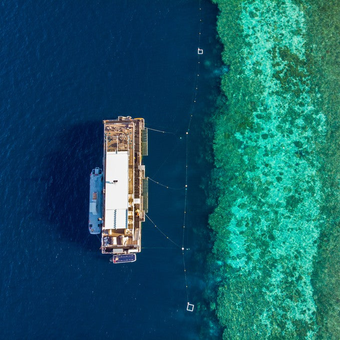 Great Barrier Reef Full Day Adventure