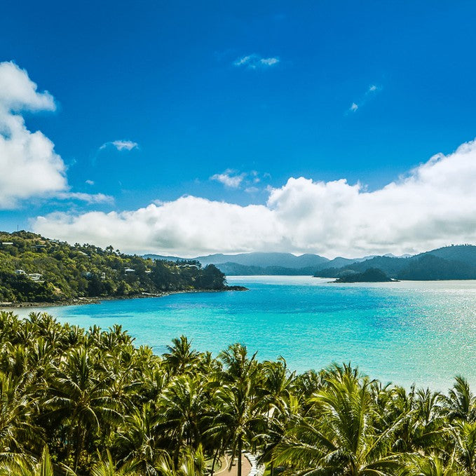 Great Barrier Reef Full Day Adventure