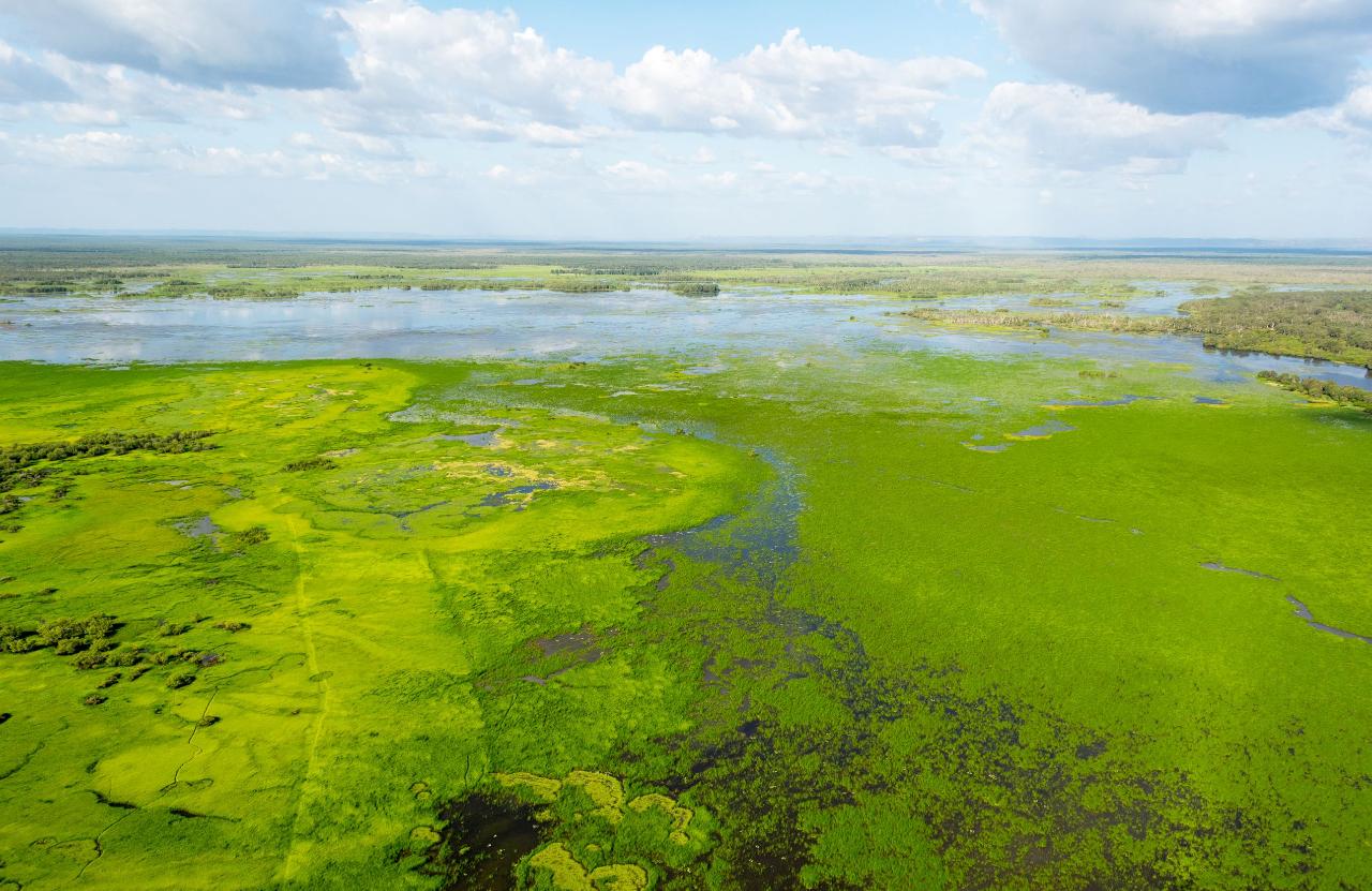 Cooinda 60 Minute Scenic Flight