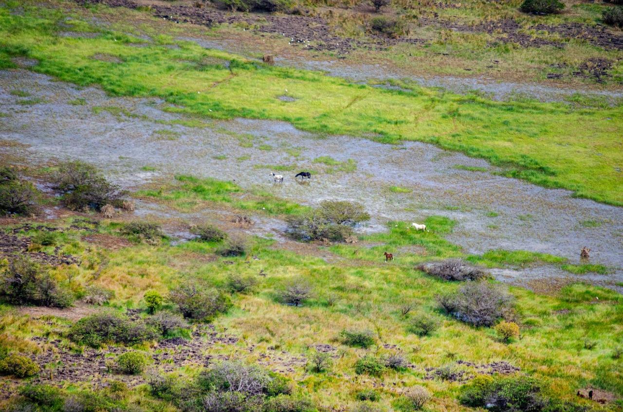 Cooinda 60 Minute Scenic Flight