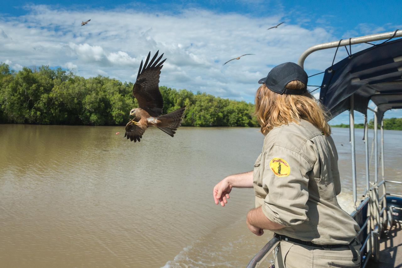 Autopia Tours: Jumping Crocodile Tour From Darwin