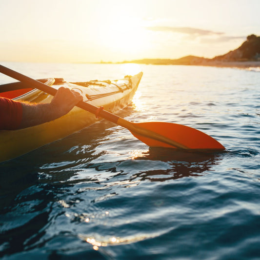 Kayaking Eco Tour - Middle Harbour