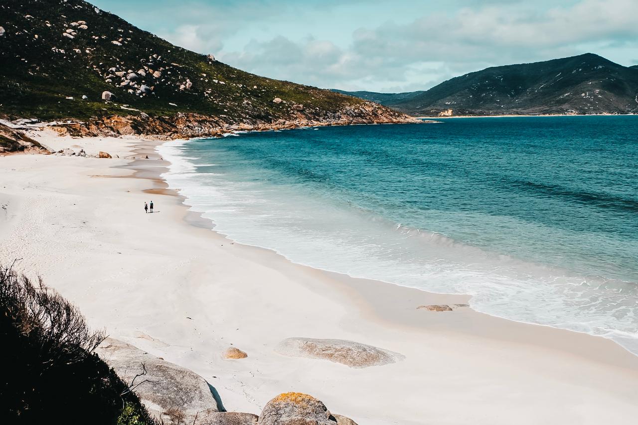 Experience Wilsons Promontory On A Full Day Tour