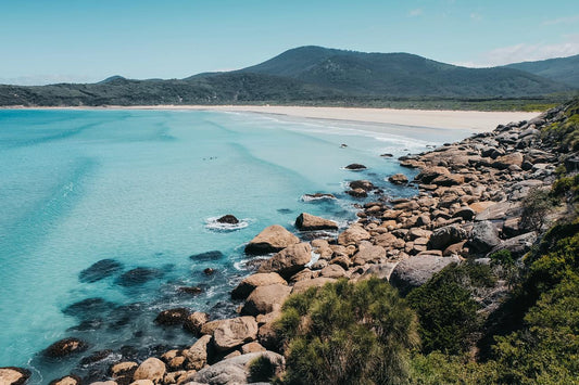 Experience Wilsons Promontory On A Full Day Tour