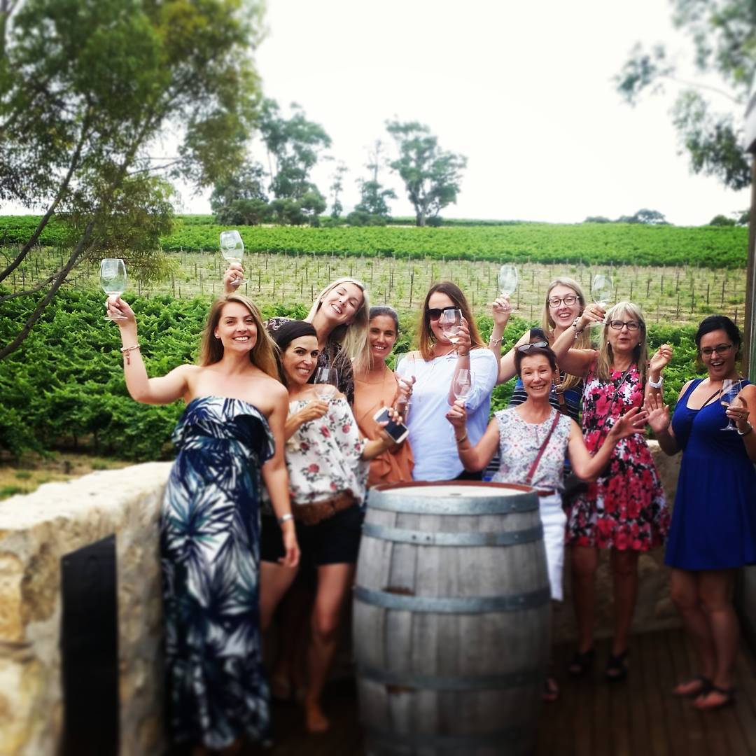 Gin-You-Wine Tour (Mclaren Vale)