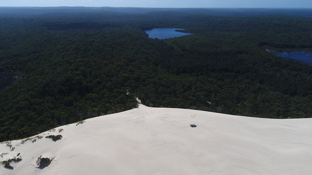 Beach & Forest Eco Adventure