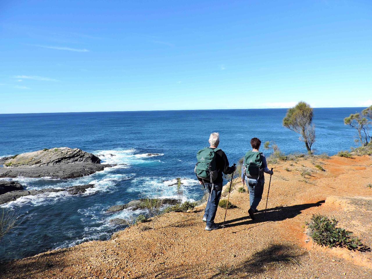 Murramarang National Park Day Tour With Kayak Option