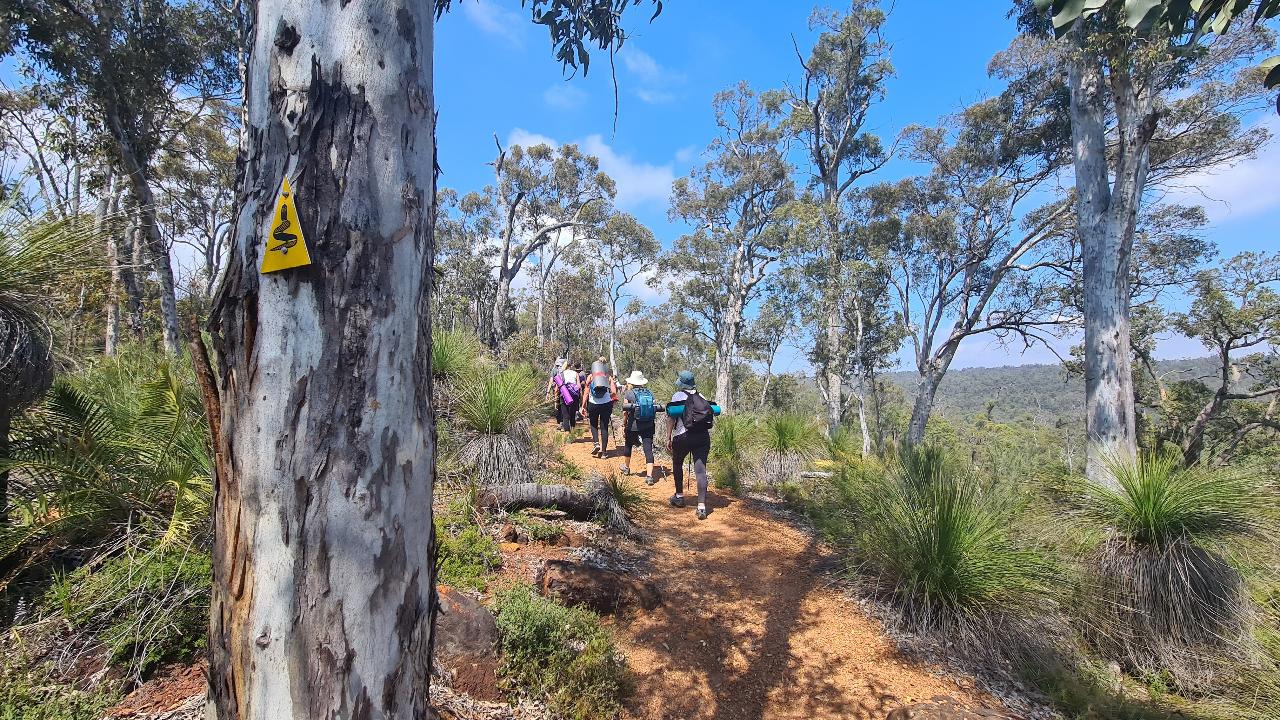 Full Moon Yoga Hiking Experience - Mundaring