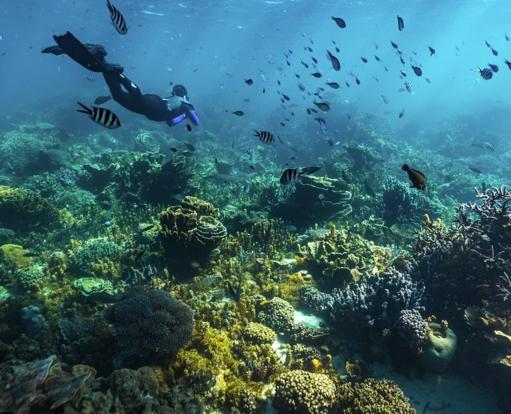 Humpback Whale Overland Tour