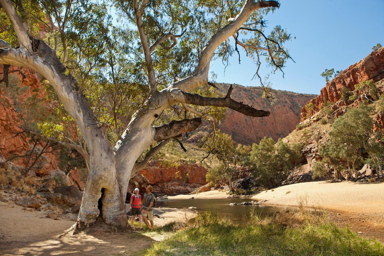 Uluru Kings Canyon To West Macdonnell 4 Day - Safari Tent From Ayers Rock/Yulara