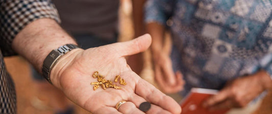 Gold Prospecting Kalgoorlie