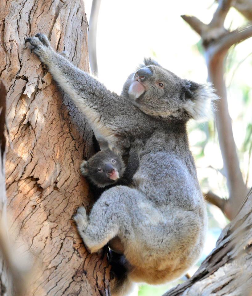 Sunset Nocturnal Adventure Tour