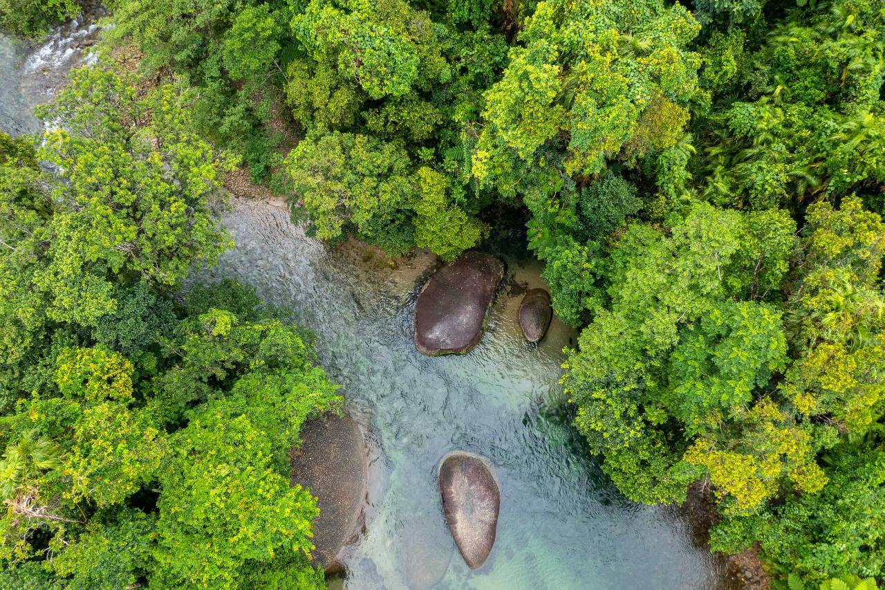 9 Day 4Wd Premium Cape York Tour