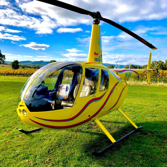 Private Southern Barossa Scenic Flight - 10 Minute Scenic Flight