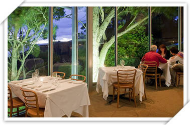 2 Day Great Ocean Road