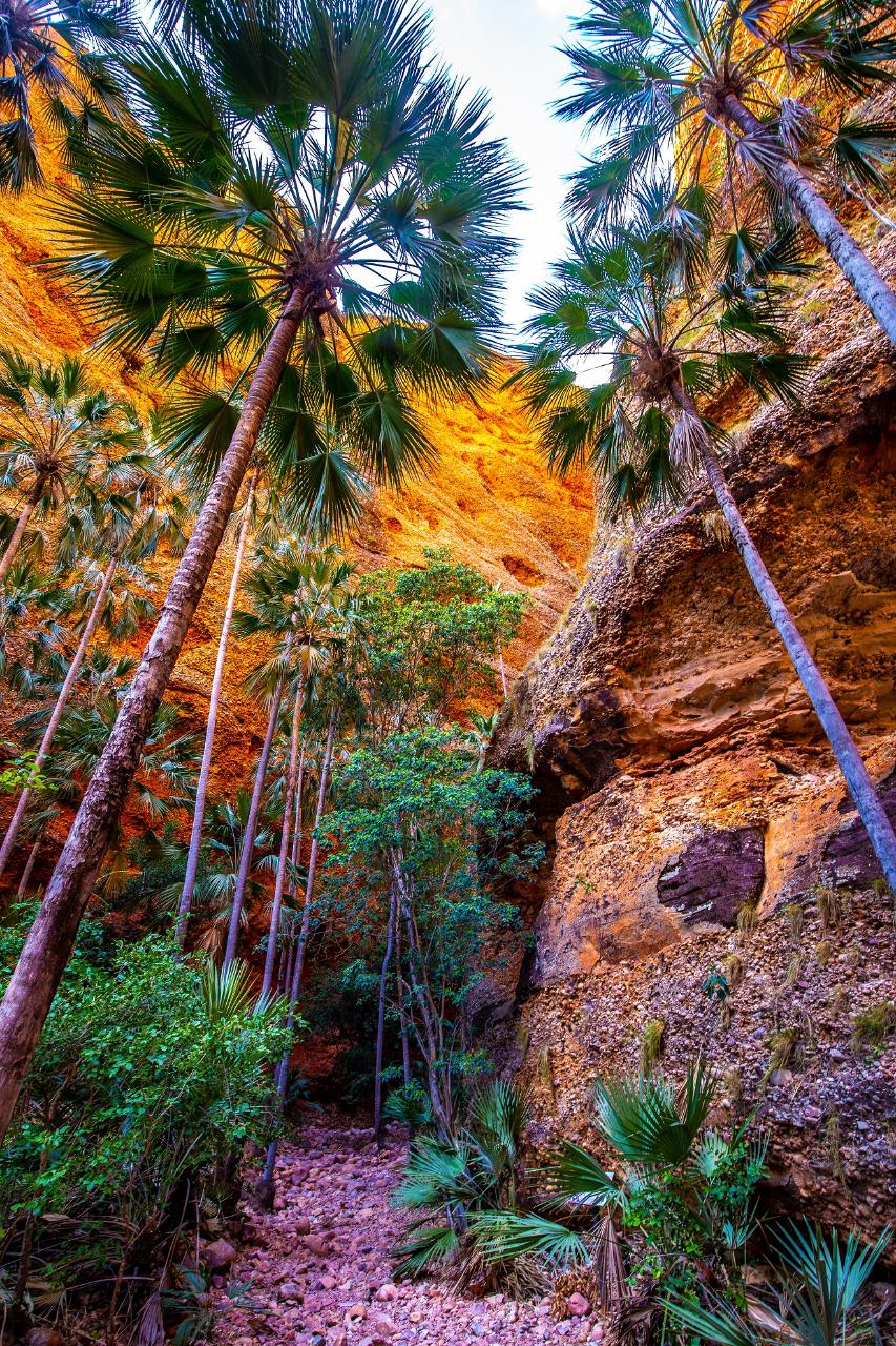 K1B+ Bungles Day Trek Extended With Echidna Chasm