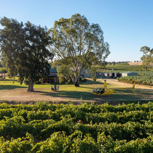 Barossa Valley Behind The Scenes Winery And Vineyard Experience Kies Family Wines