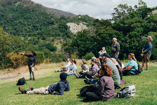 Connect To Country - Bellbrook Loop Walk Cultural Walk With Aboriginal Traditional Owner Lynne Thoma