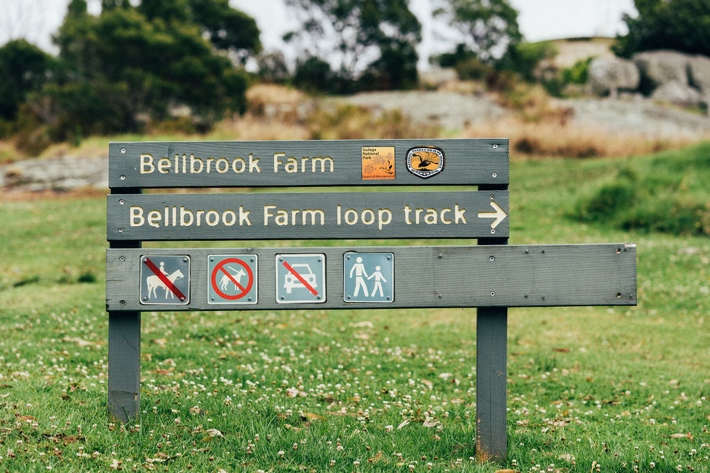 Connect To Country - Bellbrook Loop Walk Cultural Walk With Aboriginal Traditional Owner Lynne Thoma