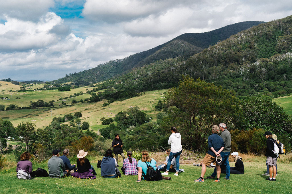 Connect To Country - Bellbrook Loop Walk Cultural Walk With Aboriginal Traditional Owner Lynne Thoma