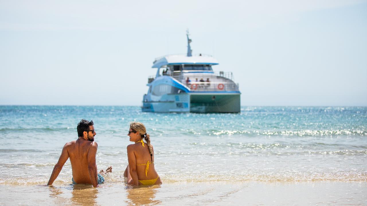 Dolphin & Tangalooma Wrecks Cruise For Family