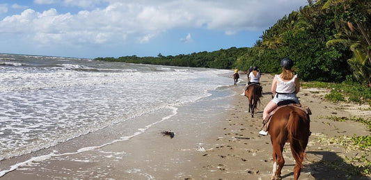 Afternoon Beach Horse Ride