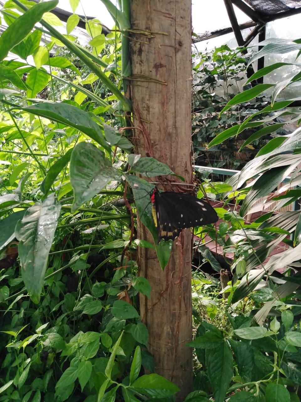 4X4 Litchfield Park Adventures Tour