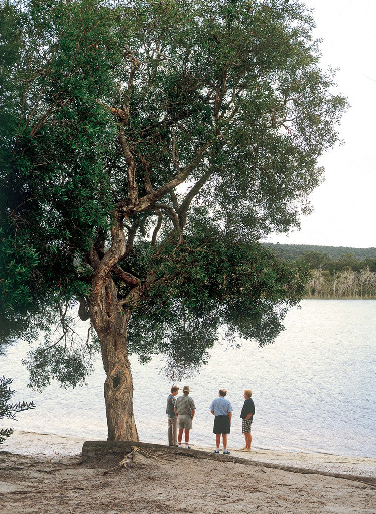 North Stradbroke Island Day 4Wd Tour