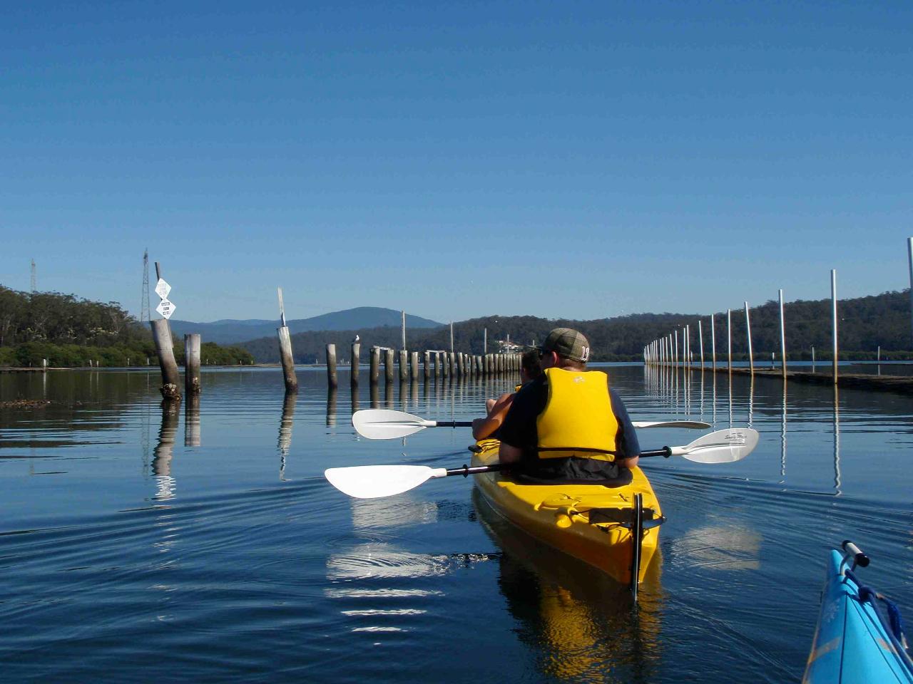 Canberra To Coast Day Tour With Oyster Tasting Kayak Experiences – We ...