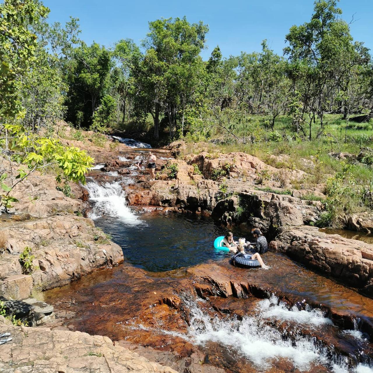 Darwin: 1 Day Litchfield N.P. And Jumping Crocodile Tour