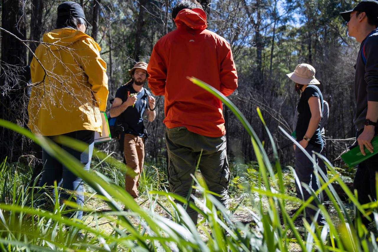 Two Day Bush Survival Course - Blue Mountains