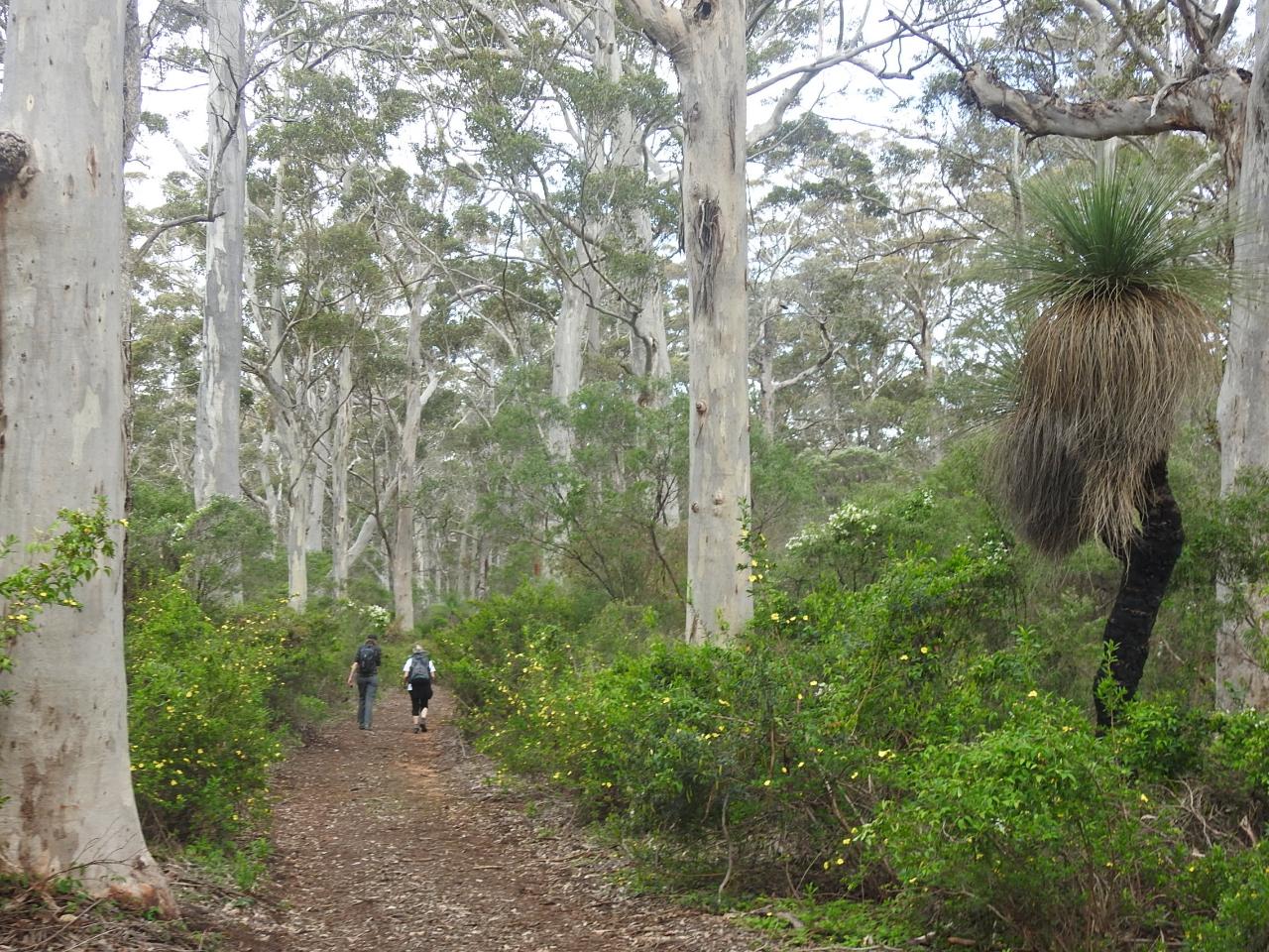 Cape To Cape Self-Guided 7 Day 'End To End'