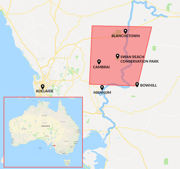 Ultimate Dinner Under The Stars