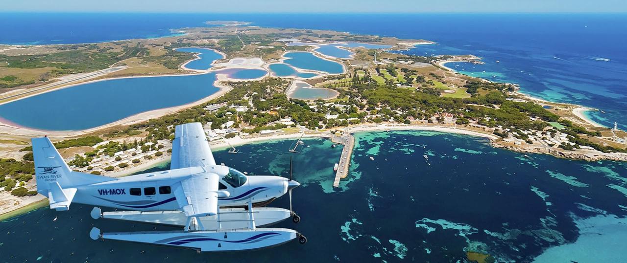 Quokkas Delight Rottnest Island Tour