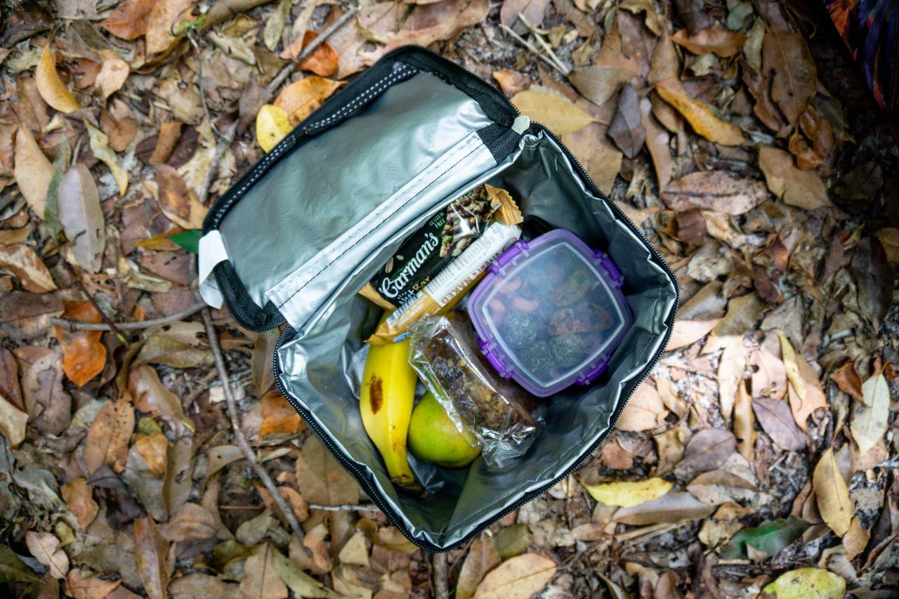 Pack-Free Camping: Rainforest Eco Hike - 3 Days