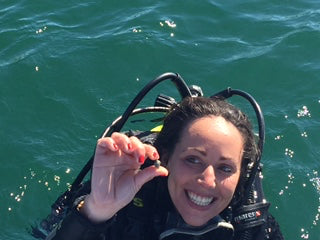 Discover Scuba Diving