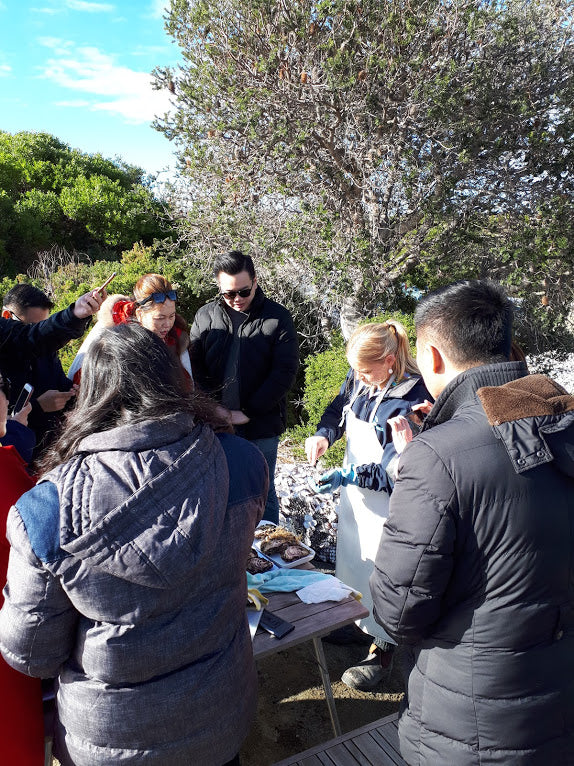 Oyster Farm Lunch With Shucking Lesson And Farming Story