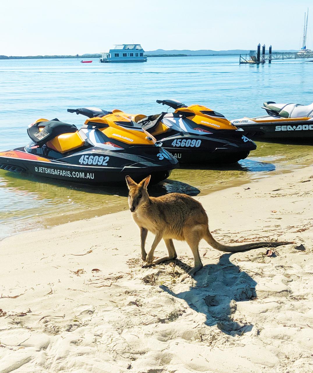 1.5 Hour Jet Ski Safari