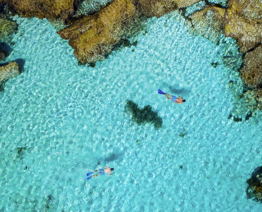 Quokkas Delight Rottnest Island Tour