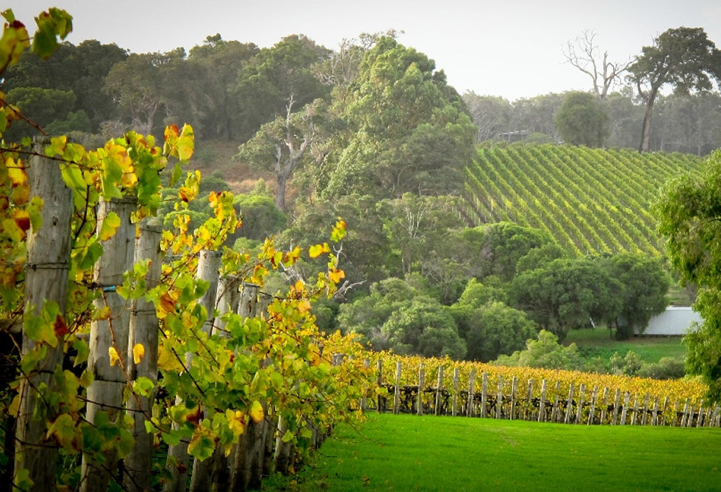 Swan Valley, Wildlife Park, Winery & Fruit Orchard