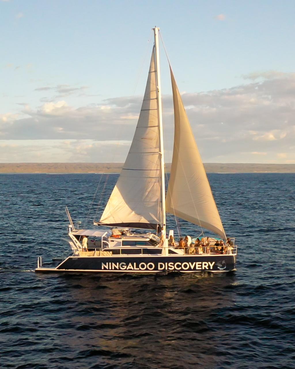 Sunset Sail/Whale Watching In Season (Whale Watching Approx July- November) Meet At The Marina For D