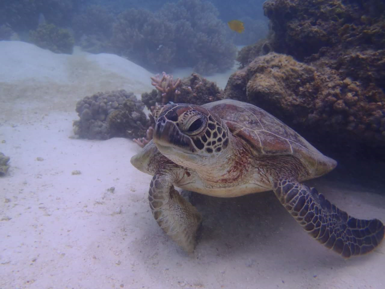 Perth To Exmouth One-Way Adventure